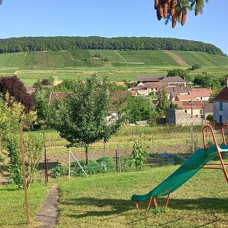 Gite Du Bel Air Festigny  Exterior foto