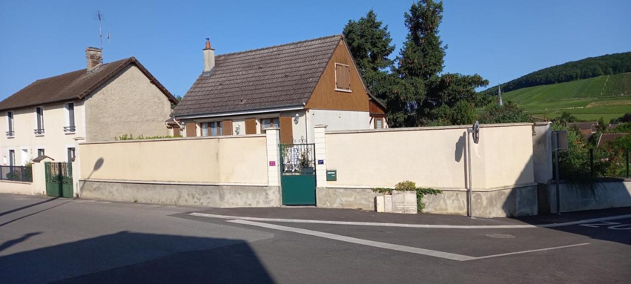 Gite Du Bel Air Festigny  Exterior foto