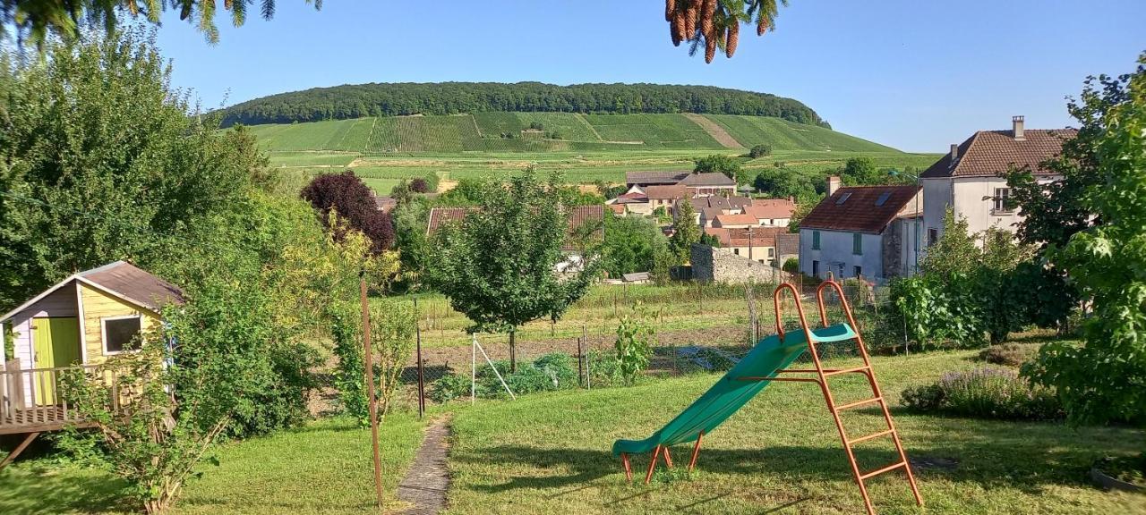 Gite Du Bel Air Festigny  Exterior foto